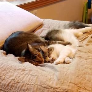 Meet your Posher, George